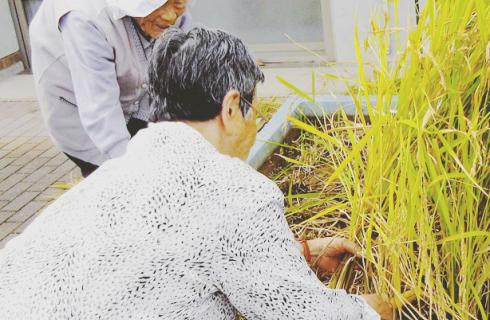 社会福祉法人くわの福祉会
