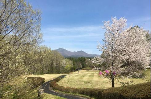 株式会社カネキ