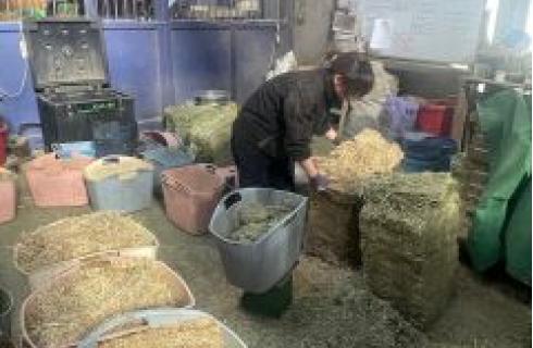 株式会社ヘレナ・インターナショナル (ヘレナ国際カントリー倶楽部)