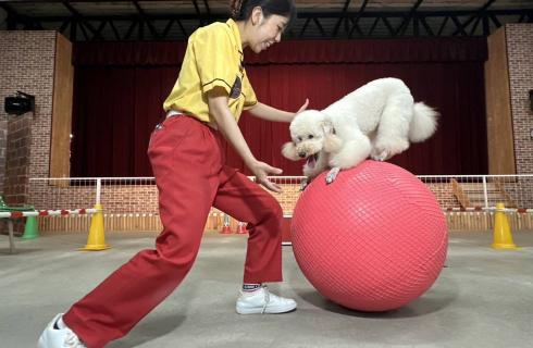 株式会社東北サファリパーク