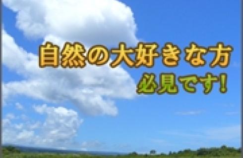 日総工産 株式会社 