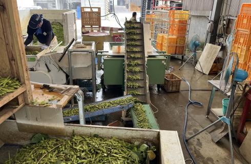 有限会社 鈴木農園 