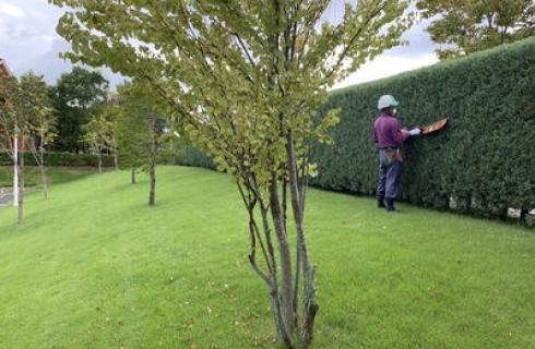 有限会社 サングリーンサービス