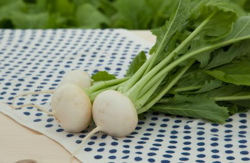 有限会社 鈴木農園 / 株式会社 まどか菜園