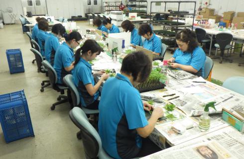 ベルグ福島株式会社