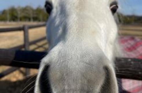 株式会社ヘレナ・インターナショナル (ヘレナ国際カントリー倶楽部)