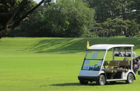 有限会社 サングリーンサービス