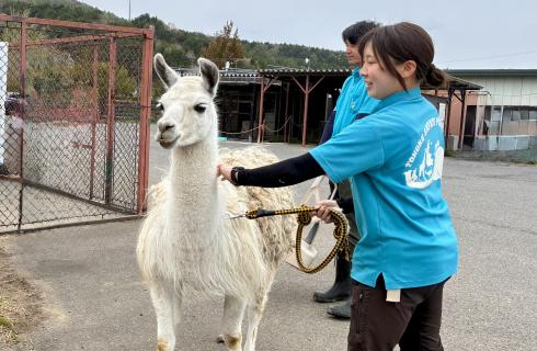 株式会社東北サファリパークの福島県の求人情報