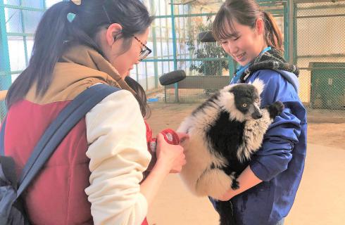 株式会社東北サファリパークの福島県の求人情報