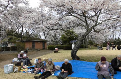 株式会社自立支援生活介護研究所の福島県の求人情報