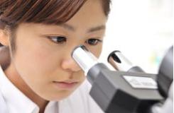 日総工産 株式会社 の求人情報