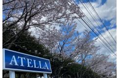 アテラ株式会社
