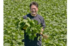 有限会社 鈴木農園 