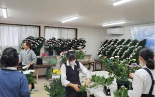 フラワーデザインオードリー郡山店の求人情報
