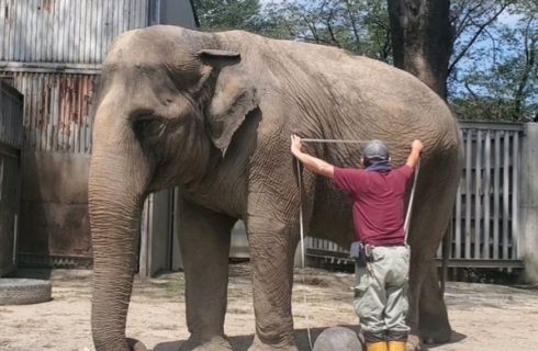 有限会社 宇都宮動物園
