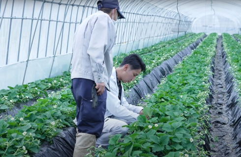 下野農業協同組合