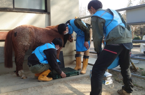 有限会社 宇都宮動物園