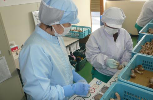 ユーファーム株式会社