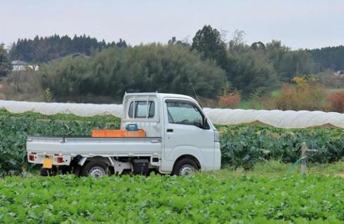 株式会社大盛屋