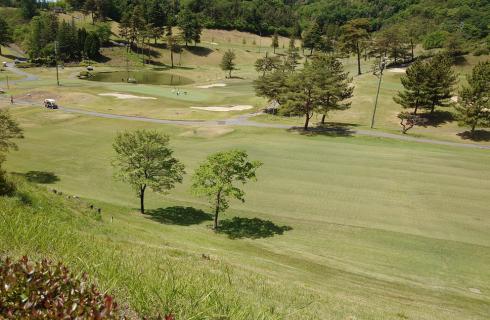 株式会社カネス 佐野ゴルフクラブ