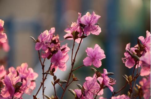那須食販 株式会社
