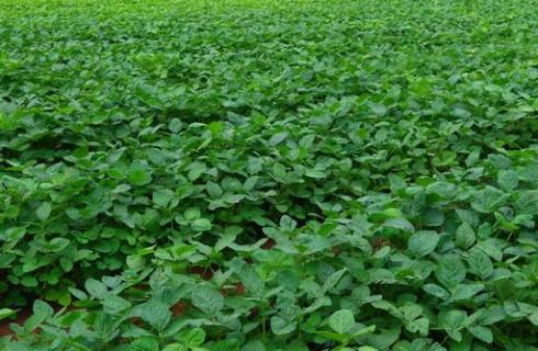 株式会社大盛屋