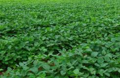 株式会社大盛屋の求人情報