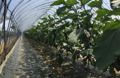 株式会社 荒井食品の求人情報