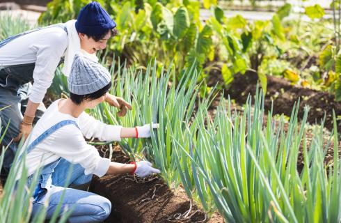 株式会社大盛屋の栃木県の求人情報
