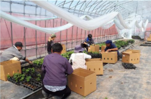 株式会社 山形セルトップ