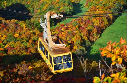 蔵王観光開発株式会社