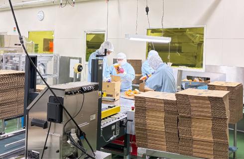 和歌山産業 株式会社