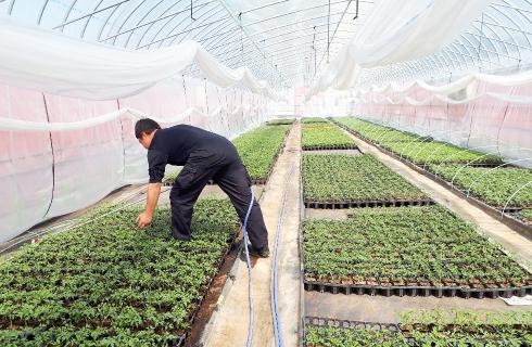 株式会社 山形セルトップ