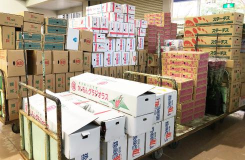 株式会社 庄内生花市場