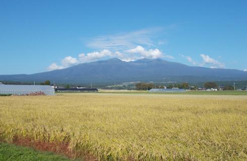 社会福祉法人 山形県社会福祉事業団