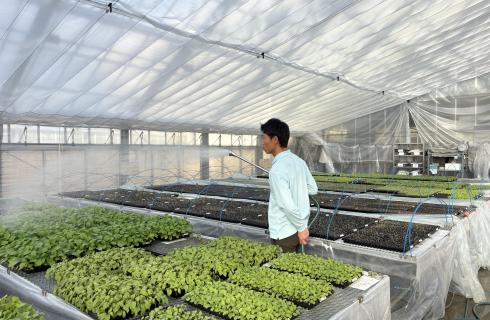 株式会社 山形セルトップ