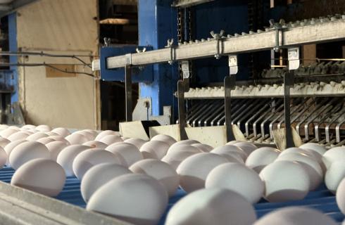 ナカショクグループ　(有)エッグセンター庄内