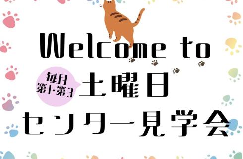 アルティウスリンク 株式会社
