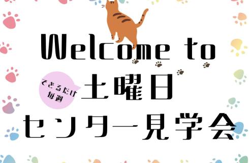 アルティウスリンク 株式会社