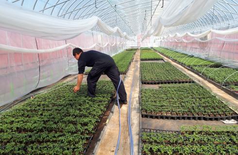 株式会社 山形セルトップ