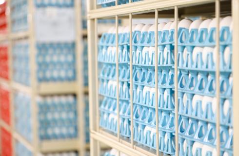 ナカショクグループ　(有)エッグセンター庄内