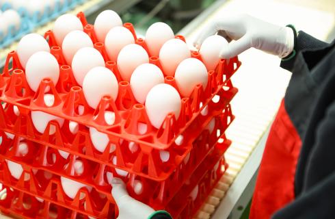 ナカショクグループ　(有)エッグセンター庄内