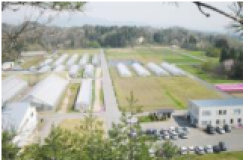 株式会社 山形セルトップ