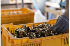 株式会社置賜総合開発