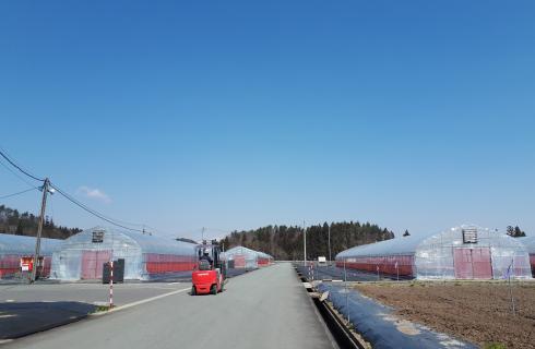 株式会社 山形セルトップの山形県の求人情報