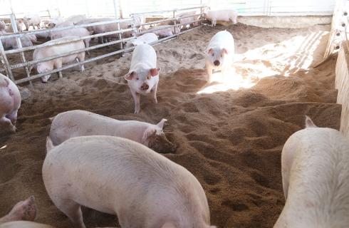 (株)アストン鶴岡の福島県の求人情報