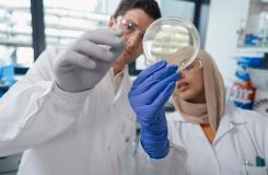 ベーリンガーインゲルハイム製薬株式会社の求人情報